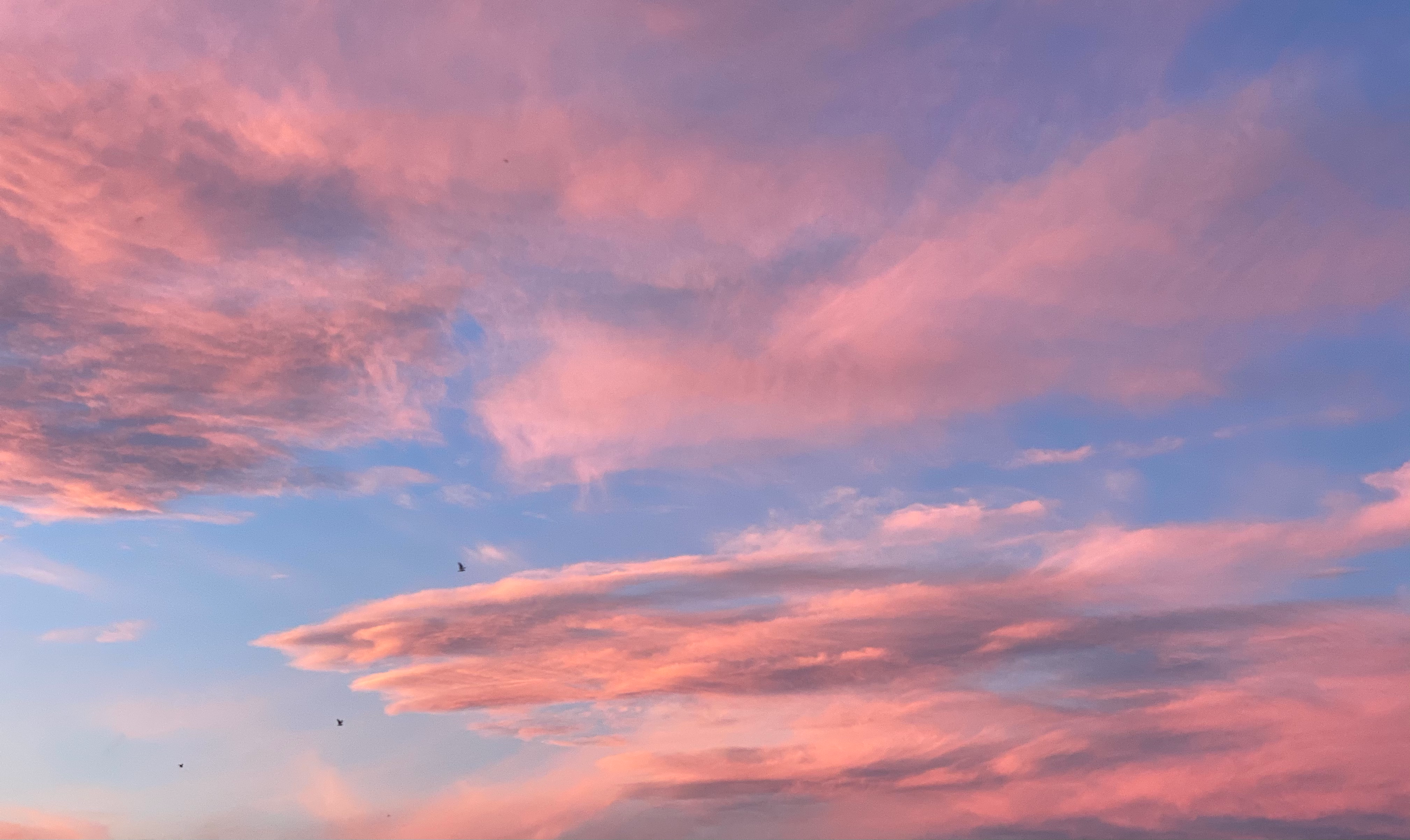 sunset-inspo